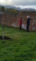 Comrie Community Orchard
