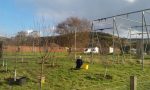 Comrie Community Orchard