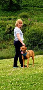 Comrie Loving Pets and Dog Training